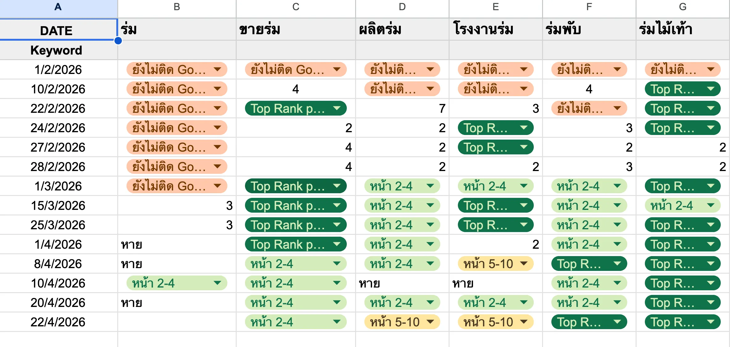ตัวอย่างkeyword,ตัวอย่างทำSEO